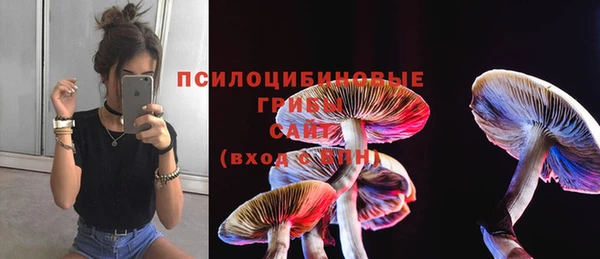 бутират Кукмор
