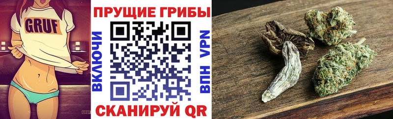 Купить где  Лысьва  Галлюциногенные грибы мицелий 