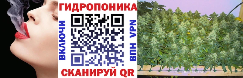 Купить закладки  Лысьва  Каннабис LSD WEED 